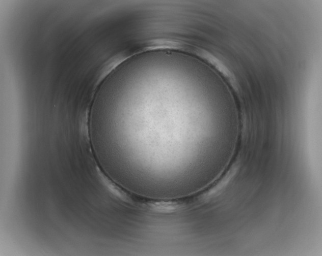 X0000115851137200911201608