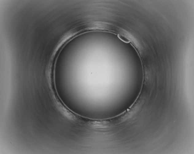 X0000115851138200911201608