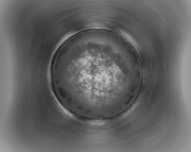 X0000115851141200911201608