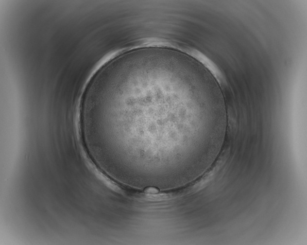 X0000115851142200911201608