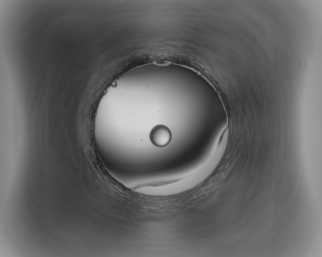 X0000115851153200911201608