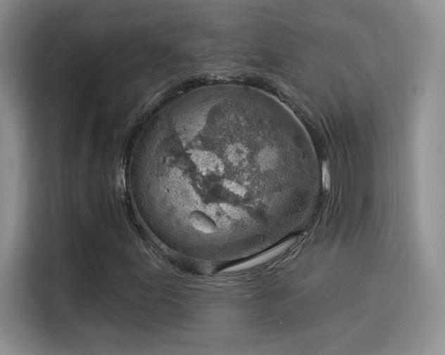 X0000115851155200911201608