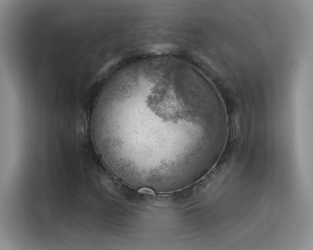 X0000115851158200911201608