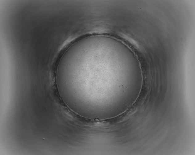 X0000115851160200911201607