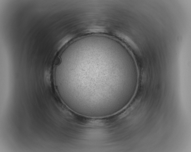 X0000115851162200911201607
