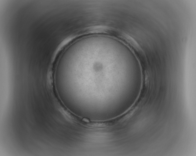 X0000115851164200911201607