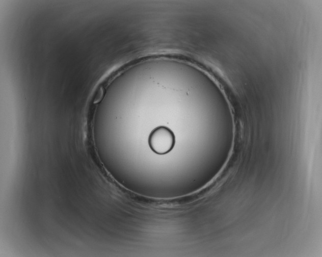 X0000115851165200911201607