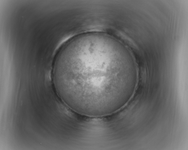 X0000115851166200911201607