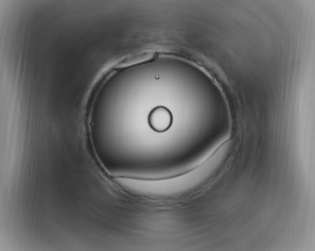 X0000115851168200911201607