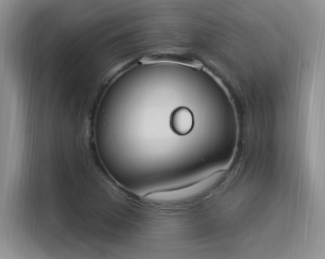 X0000115851169200911201607
