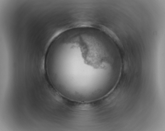 X0000115851174200911201607