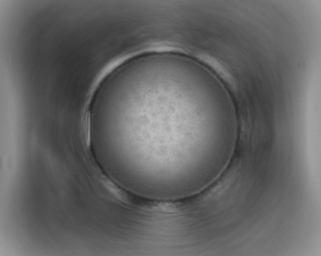 X0000115851175200911201607