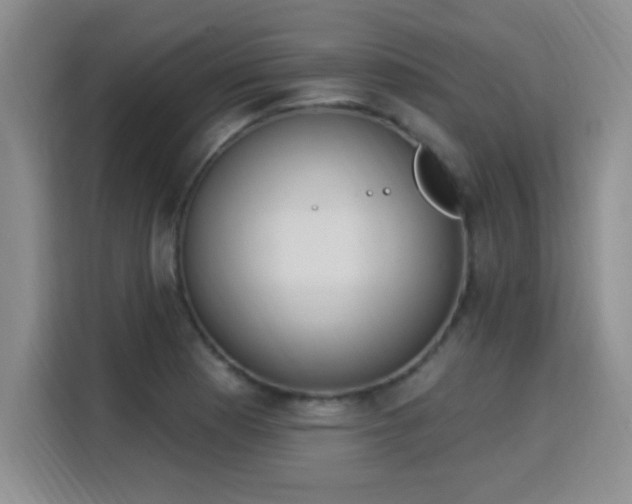 X0000115851177200911201607