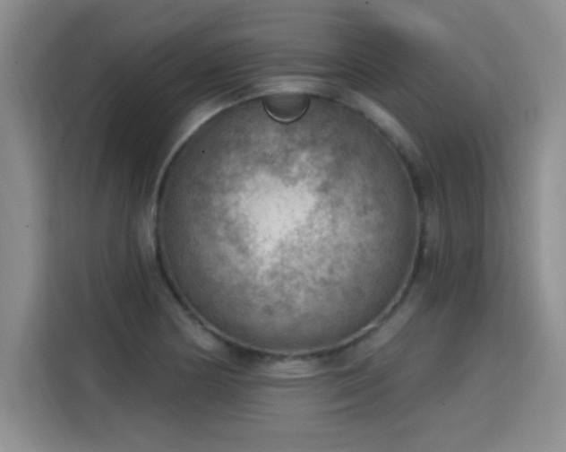 X0000115851178200911201607