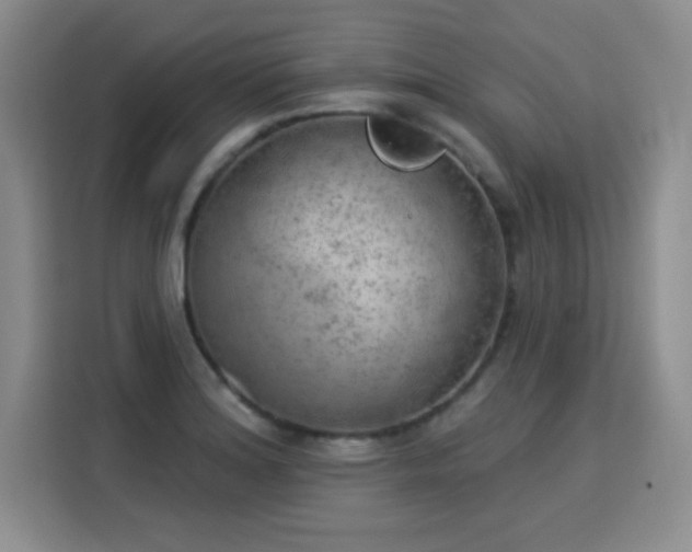 X0000115851180200911201607