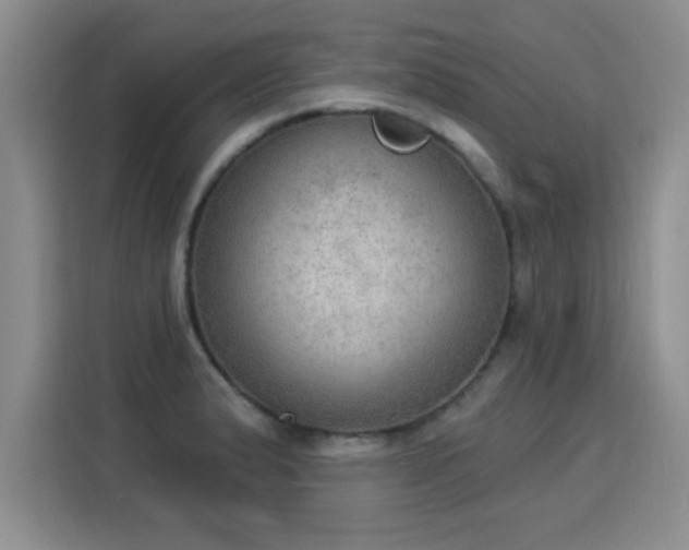 X0000115851183200911201607