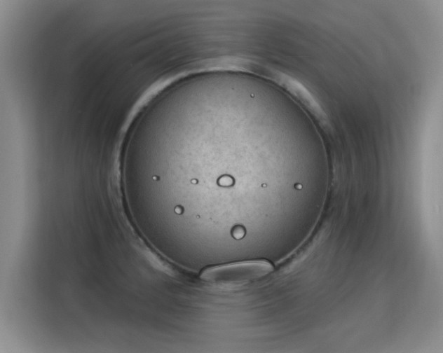 X0000115851184200911201607