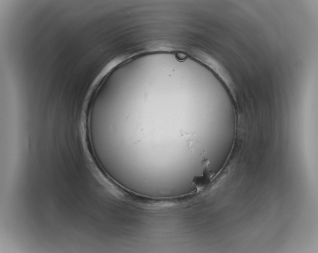 X0000115851187200911201607