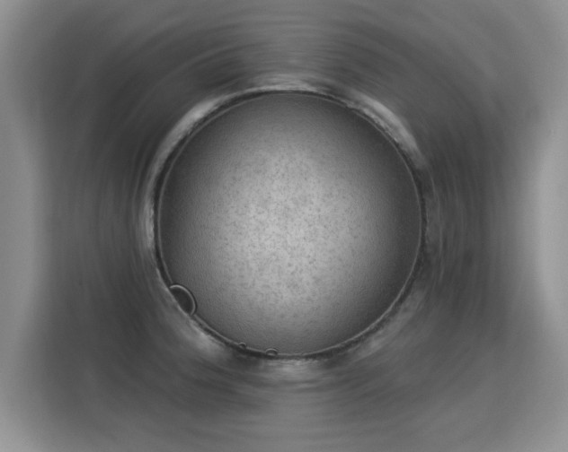 X0000115851188200911201607
