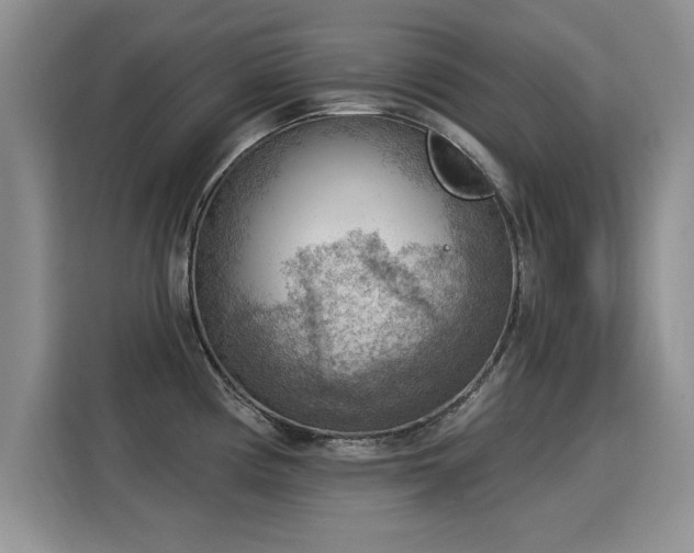 X0000115851194200911201607