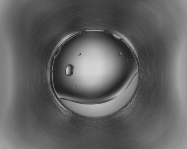 X0000115851195200911201607
