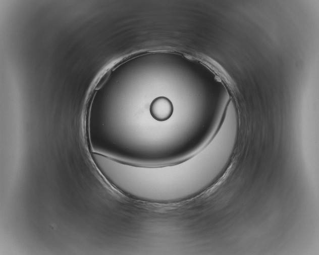 X0000115851196200911201607