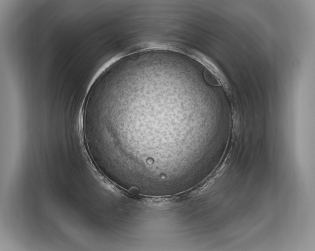 X0000115851198200911201607