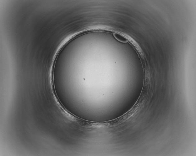 X0000115851199200911201607