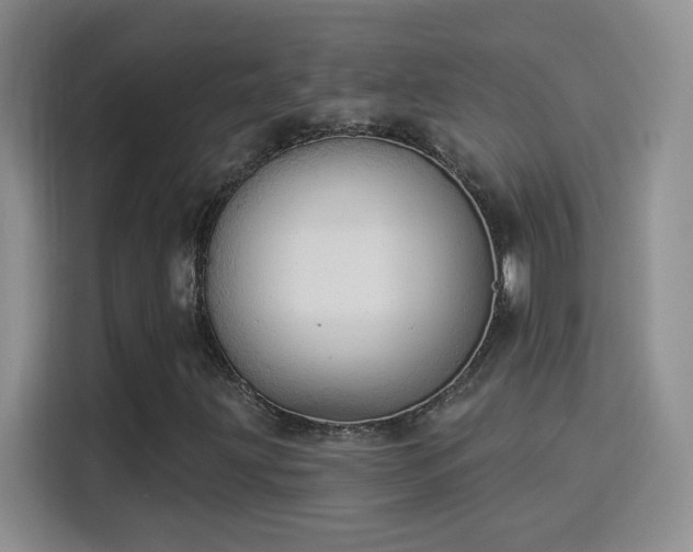 X0000115851203200911201606