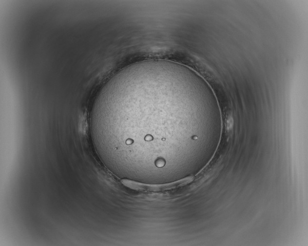 X0000115851204200911201606