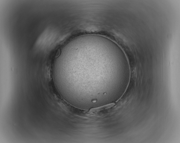 X0000115851205200911201606