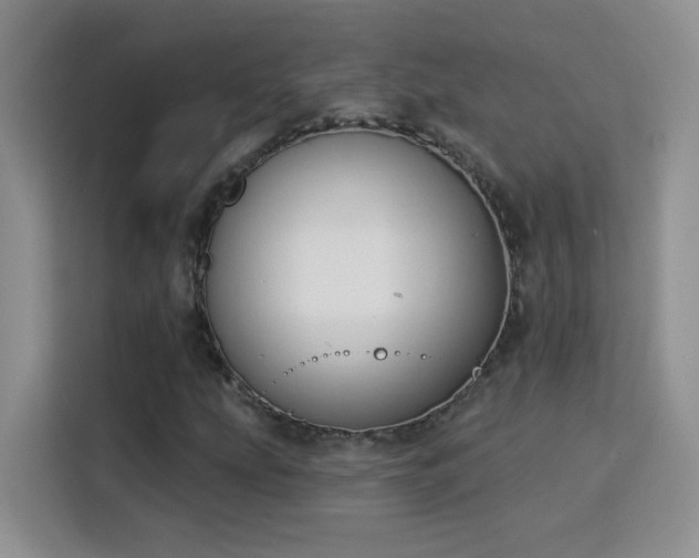 X0000115851207200911201606
