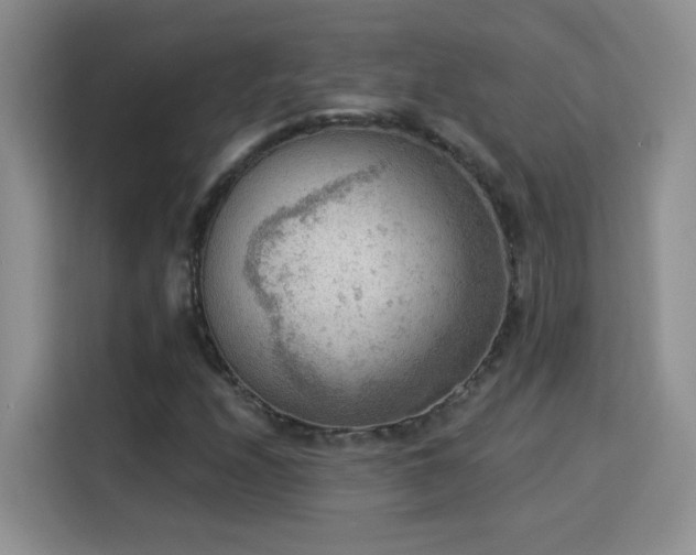 X0000115851208200911201606