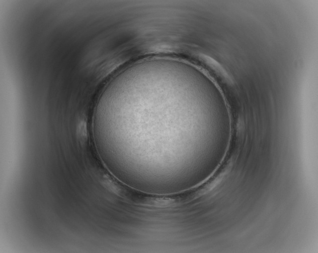 X0000115851209200911201606
