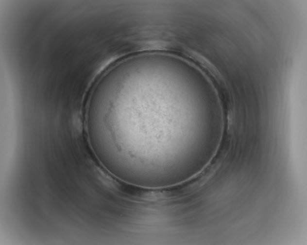 X0000115851212200911201606