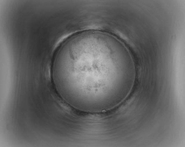 X0000115851214200911201606