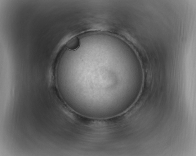 X0000115851215200911201606