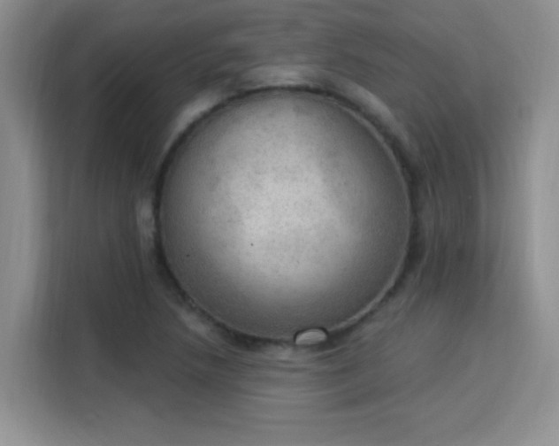 X0000115851218200911201606
