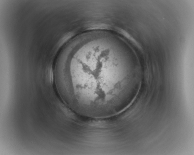 X0000115851221200911201607