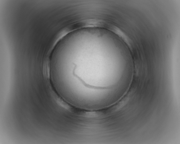 X0000115851227200911201607
