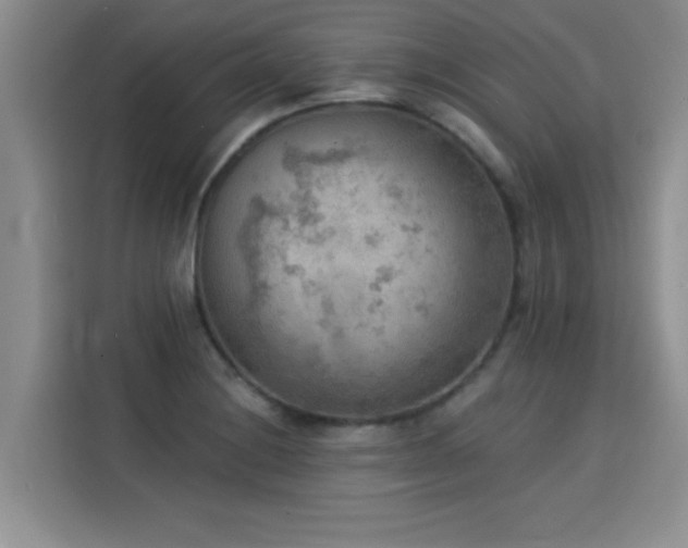 X0000115851228200911201607