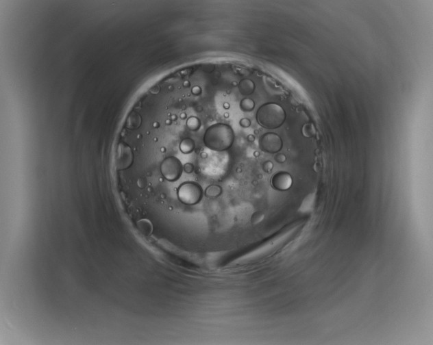 X0000115851231200911201607