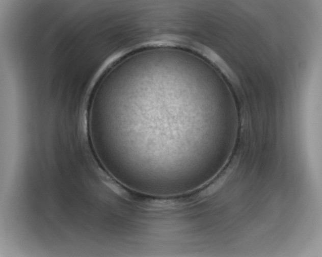 X0000115851232200911201607