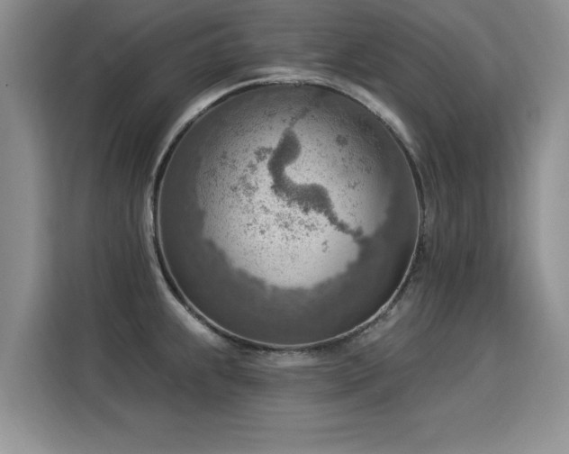 X0000115851239200911201607