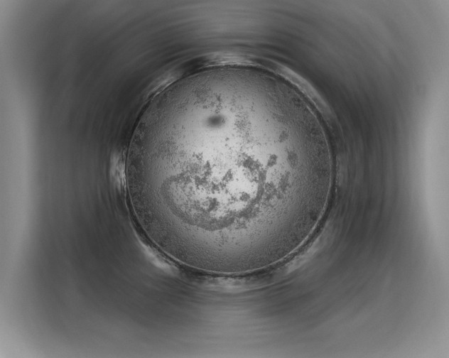 X0000115851241200911201607