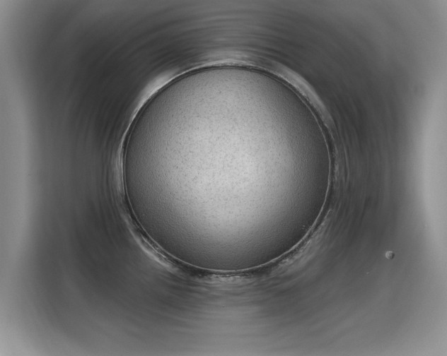 X0000115851242200911201607
