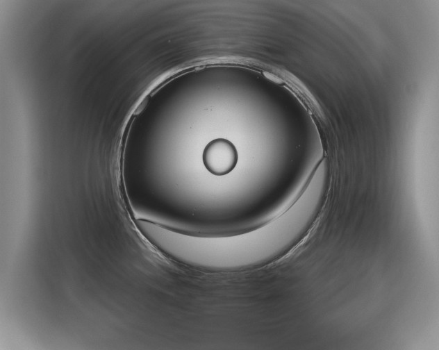 X0000115851244200911201607