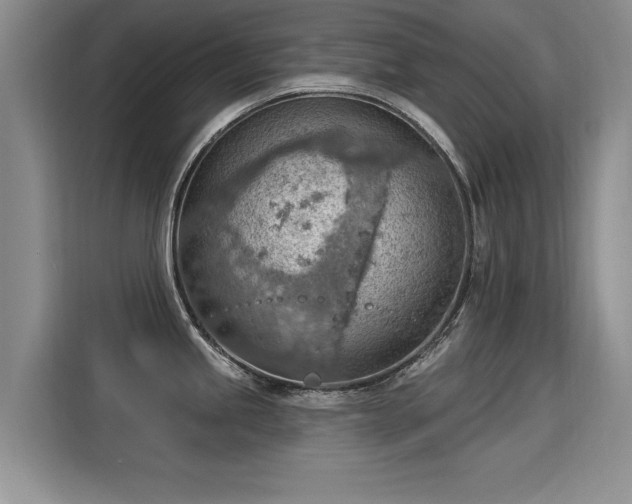 X0000115851245200911201607