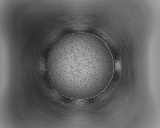 X0000115851251200911201606
