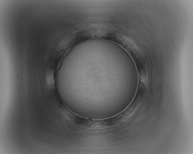 X0000115851252200911201606